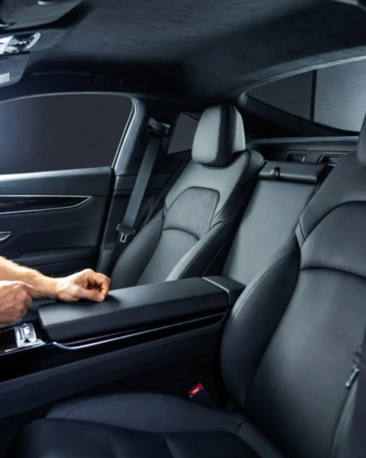 Proyecto destacado Vorax